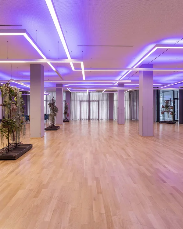Ampia sala con pavimento in legno e luci LED viola moderne
