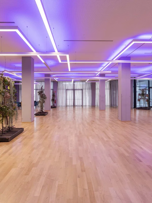 Ampia sala con pavimento in legno e luci LED viola moderne