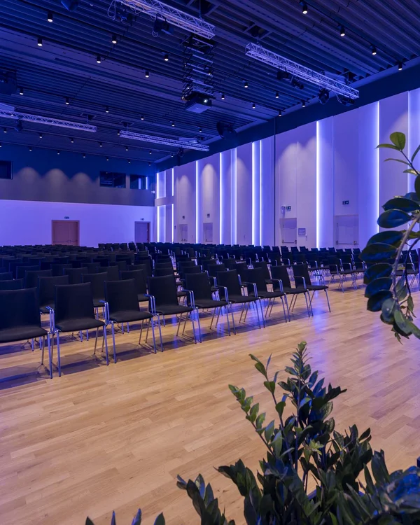 Modern conference room with black chairs and blue lighting